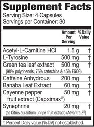 Vizinx SHREDX - Fat Burner - VIZINX