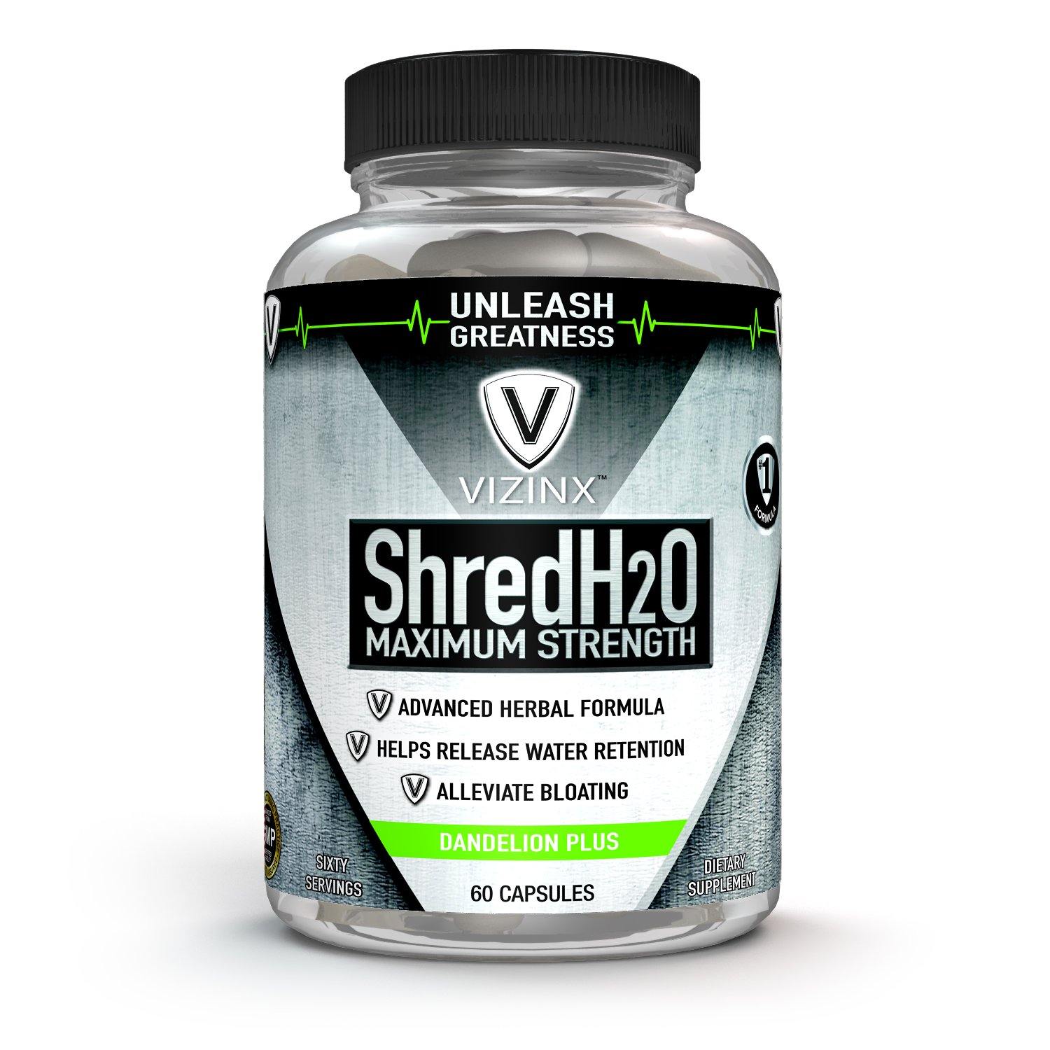 ShredH2O - VIZINX